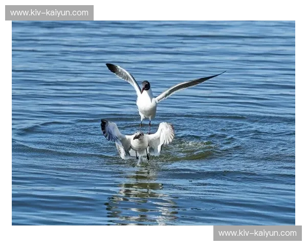 东南亚双雄之战：印尼“鹰”与泰国“象”的灵魂对决，谁才是东南亚真正的霸主？